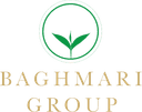 Baghmari Tea Co Ltd