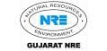 Gujarat NRE Coke Limited