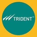 Trident India Limited